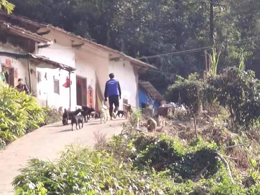 阳春房地一体项目纪实丨无悔青春多砥砺，最是奋斗动人心