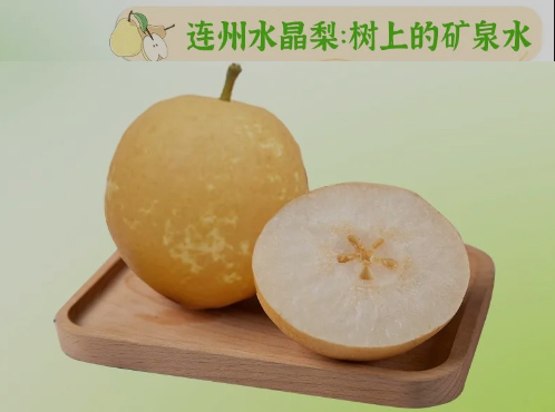 “桃李”炎暑，清冷一夏