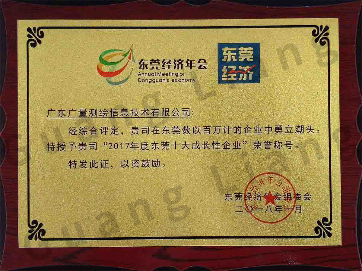 东莞十大成长性企业