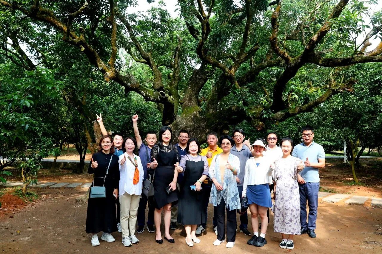 亿万先生MR集团作为省河山空间生态建复协会轮值会长带队调研粤西全域地皮综合整治工作