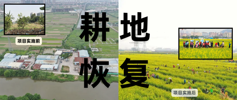 耕地；び刖梅⒄构踩凇甘泻窠终蛩谏缜读继锵钅扛馗丛氤窍缛诤系拇葱率导