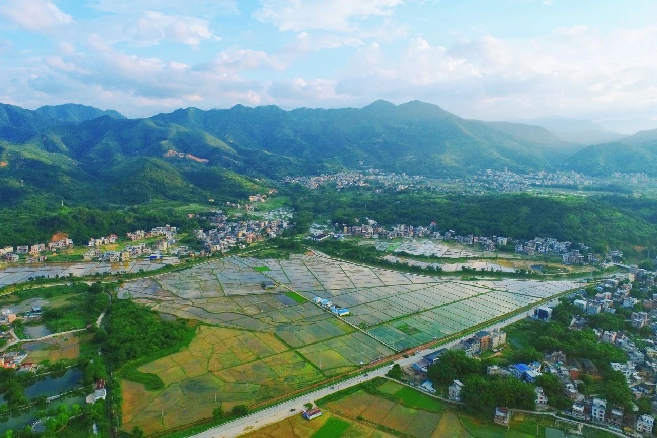 亿万先生MR集团丨“百千万工程”显实效：云浮罗定泗纶镇以全域地皮综合整治为抓手，绘就村落振兴新画卷