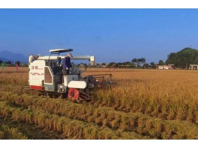 亿万先生MR评估与规划公司荣获“耕地；び帕嘉朗康ピ保