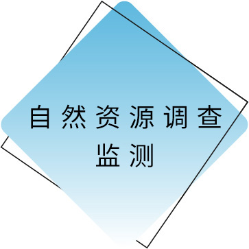 天然资源调查监测.jpg